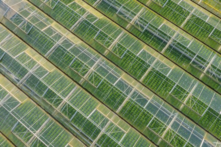 Plans for £150m Essex greenhouse complex submitted to local council