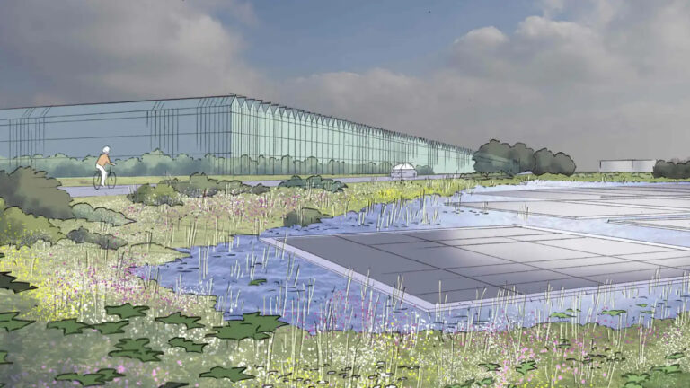 Giant greenhouse could reduce  reliance on Spanish tomatoes